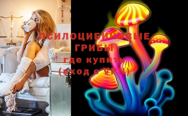 стафф Алексин