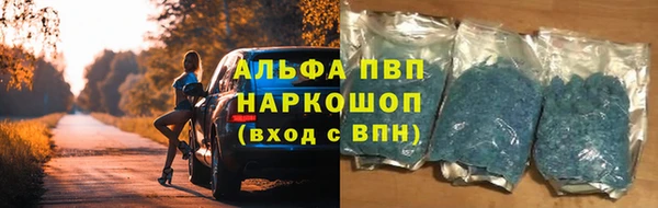стафф Алексин
