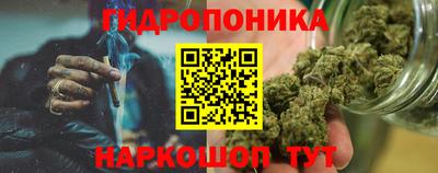 стафф Северобайкальск